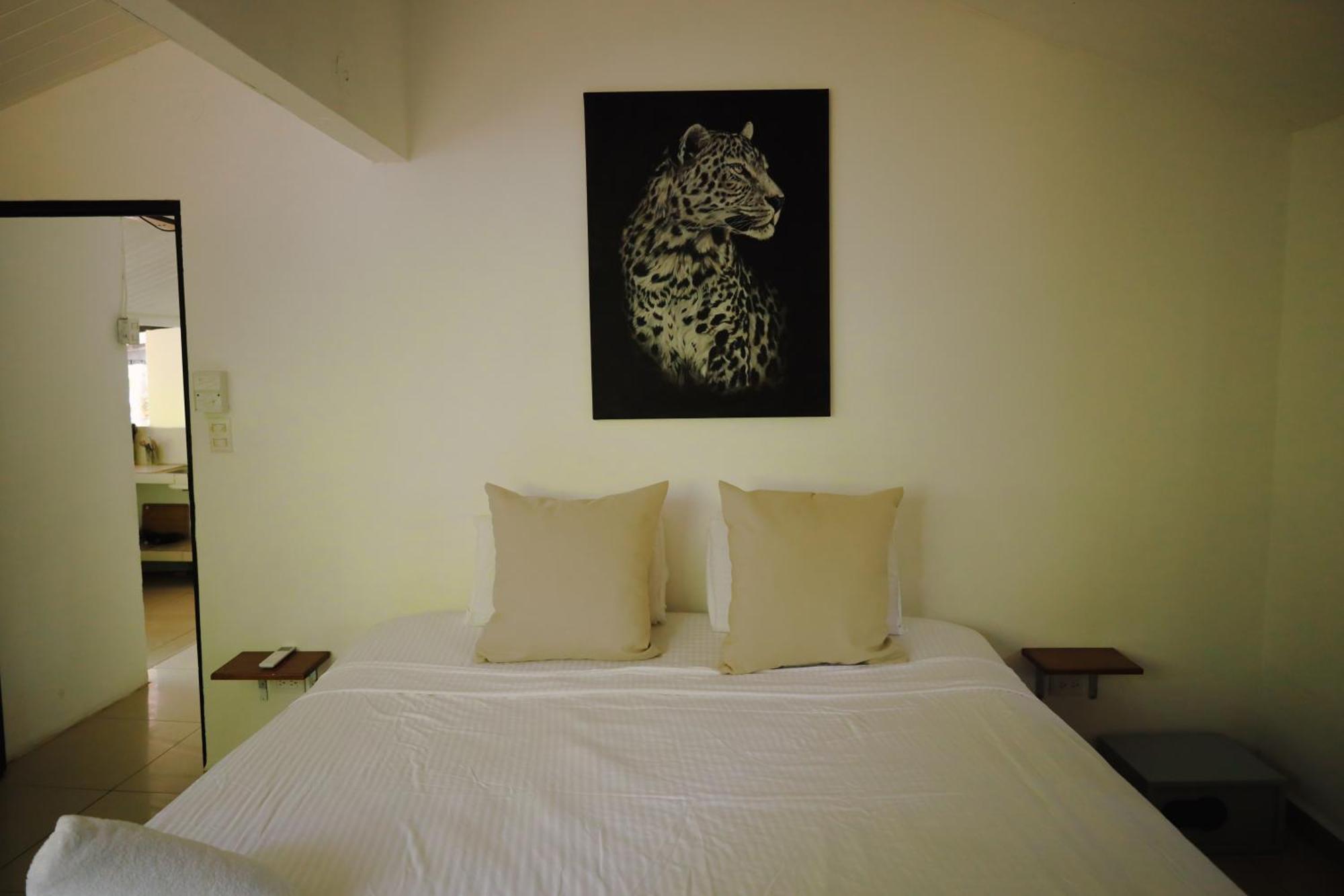 Zeneidas Surf Garden Playa Santa Teresa  外观 照片